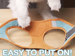 Reflective and Adjustable Cat Harness With Leash Set