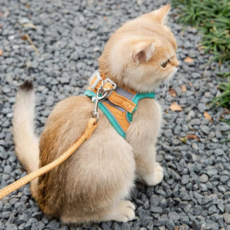 Reflective and Adjustable Cat Harness With Leash Set